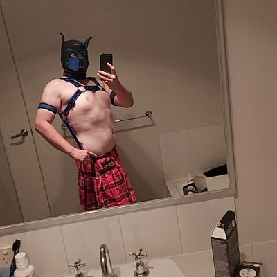 18+ MDNI, Hi my name is Atlas, Just a Aussie pup exploring his kinky side and looking to make friends, DMs open, Handler: @pup_hydra Awruff🐾🐾