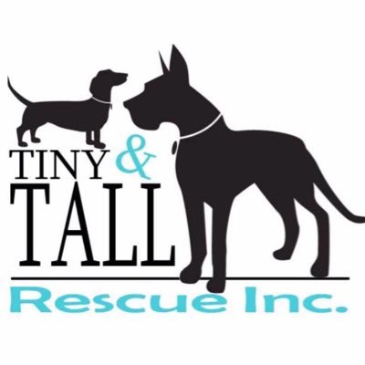 Tiny N Tall Rescue is a 501(c) organization dedicated to providing temporary shelter, veterinary care & behavioral support for tiny and giant breed dogs.