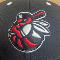 Baldwinsville Baseball(@beesbase) 's Twitter Profile Photo