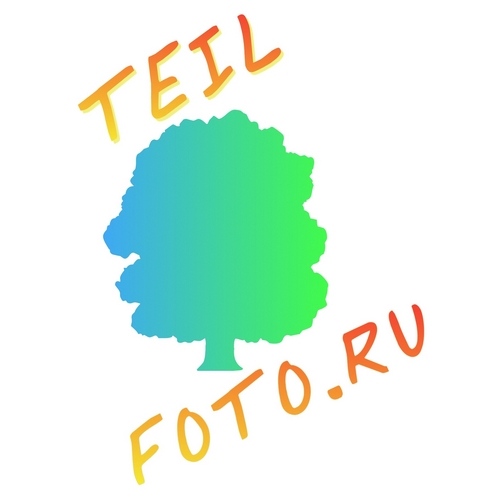TEIL_FOTO's profile picture. Интернет печать фотографий.
Фото на документы