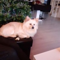 Sam (@sam74243610) 's Twitter Profile