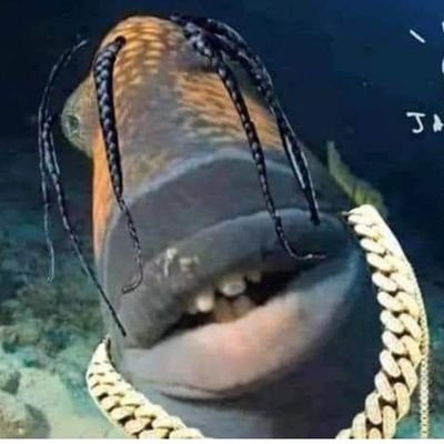 CodyMor94697987's profile picture. 