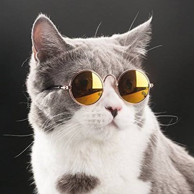 NnGrkq's profile picture. 05/群馬→法政大学人間環境学部🇪🇸 D組