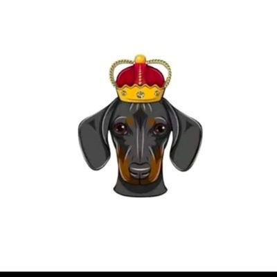 ychgn2's profile picture. 未来属于我们