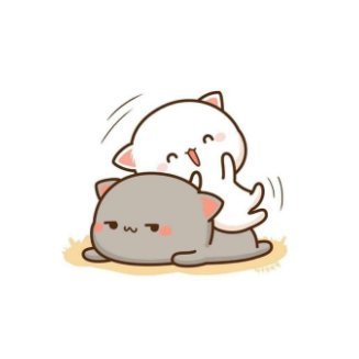 แอคสำรองของแอคหลัก @vasculartissue ครับ เผื่อตอนแอคหลักปลิวครับ #รีวิวcatty