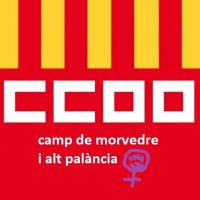 CCOO Camp de Morvedre - Alt Palancia(@CCOOCMorvAPalan) 's Twitter Profileg