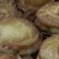 lognts (@lognts1) 's Twitter Profile