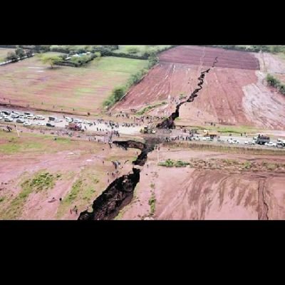 d_omenuko's profile picture. 