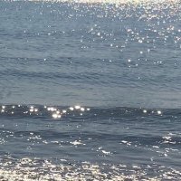 べべ (@synrbebe) 's Twitter Profile