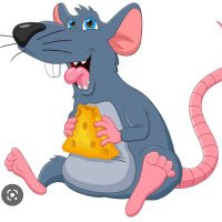Retweet Rat 🐀 (@retweetrattyrat) 's Twitter Profile