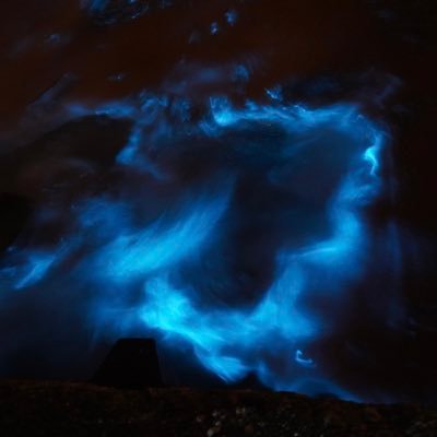 koba_maru0's profile picture. #広がれプラオレの輪