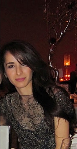 Senior Business Solutions Engineer/Engagment Manager @ Synteractive,strategy consulting firm committed to solving problems /connecting people & information