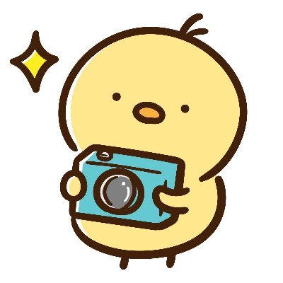 ShiroyamaPhoto Profile Picture