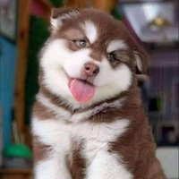 Herry (@yngxnxn16) 's Twitter Profile