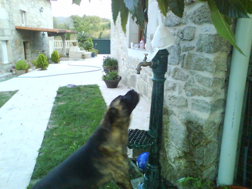 Liglesiasg's profile picture. 