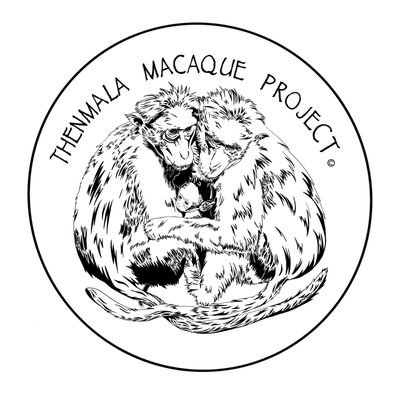 A project focusing on male-male interactions and conservation of wild bonnet macaques in Thenmala 🐒
Adam Mickiewicz University, UC Davis, University of Mysore.