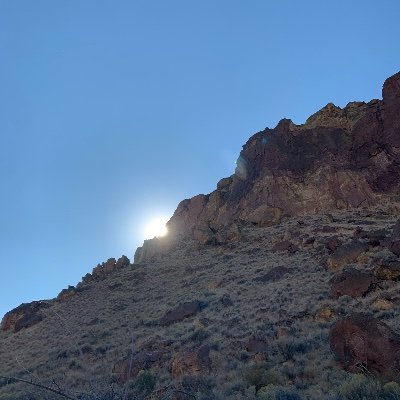 bob33503114's profile picture. Face the music 🎵