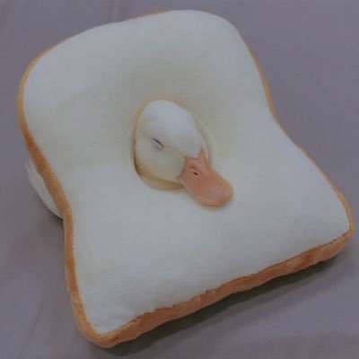 jkcooner's profile picture. 구독계