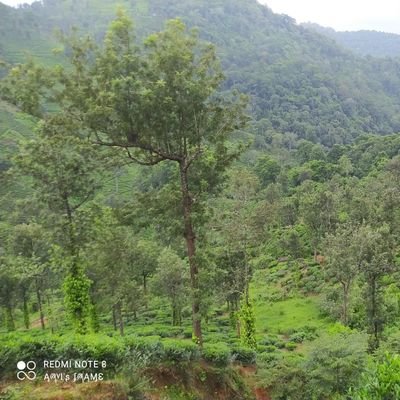 Aravindenviro's profile picture. 🌴🌾வேளாண்மையே பேராண்மை 🌾🌴