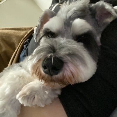 2seinoaccount's profile picture. #元JW二世(30代)です。#元JWの方と繋がりたいと思い作りました。母親がエホバの証人で生まれた時からエホバの教えを叩き込まれ生きてきました。高校生までは反抗しながらも参加していました。今はもう家族全員自然消滅で脱会しています。スペース等で交流したいです。聞き専になりがちですが😂🗝垢さんはフォロバ控えます