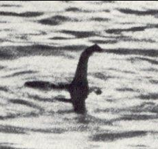 I am a shy lake serpent who dwells in the utter depths of Loch Ness in the Scottish Highlands, occasionally peeking my head out to say hi to tourists.