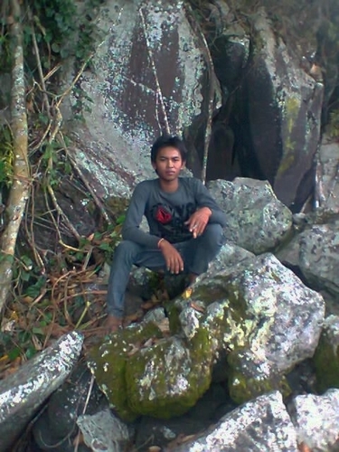 arpecboy's profile picture. 