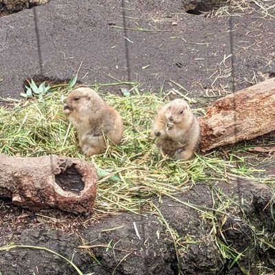 よろしくです！！ 三重→秋田