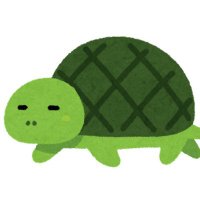 かめ (@kametw117) 's Twitter Profile