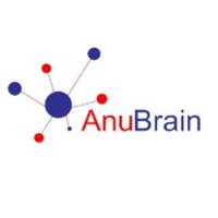 Anubrain Technology(@AnubrainTech) 's Twitter Profile Photo