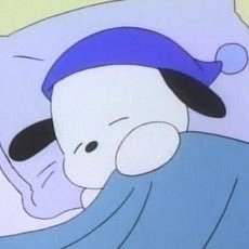 noeyさんのプロフィール画像