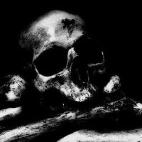 Forever Misanthropia (@fmisanthropia) 's Twitter Profile Photo Forever Misanthropia (@fmisanthropia) 's Twitter Profile Photo