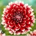 Aaradhya Rajput (@aaradhyarajpu19) Twitter profile photo Aaradhya Rajput (@aaradhyarajpu19) Twitter profile photo