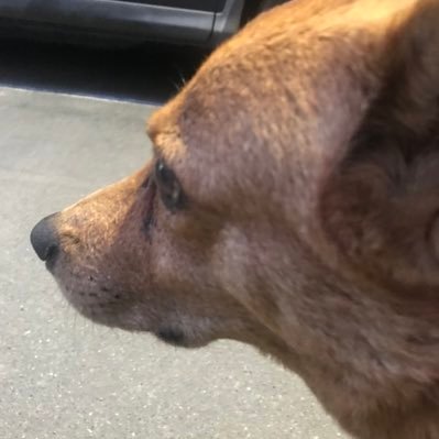 jojo234675's profile picture. 