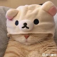 OttoPaddy(互相关注必回) (@ottopaddy) 's Twitter Profile