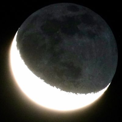 nekoyamada6's profile picture. 音と旅 そして猫狂ひ