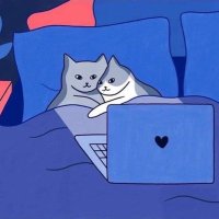 Zoomer (@extzoomer) 's Twitter Profile Photo