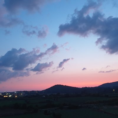 th0324m's profile picture. 프벸 눈팅 계정!!