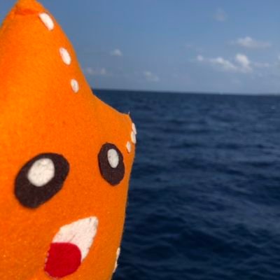 ヒトデ(@hitodeblog)のコーチング用アカウント。プロコーチとして活動してます。MCA9期卒業。GCS認定コーチ。ギャラップ認定ストレングスコーチ。29歳でFIRE。やりたい事で、ちゃんと稼いで、生きていけるようにします。最上志向/着想/戦略性/適応性/親密性。最近はネコも好き