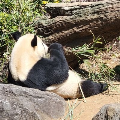 potato_msw's profile picture. 療養型病院で医療相談員をしています。いつのまにか相談員歴7年目/20代/転勤族/医療介護関係のお仕事の方をフォローしてます🌱