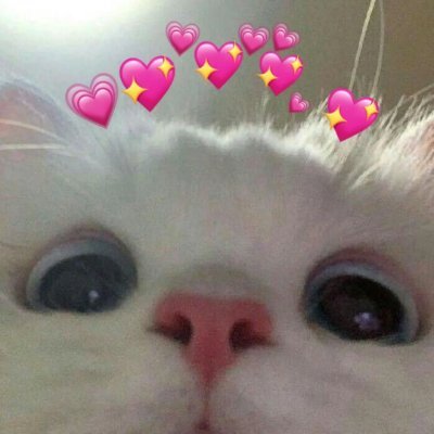 ArushCh96397491's profile picture. someone with multiple interests (coding, trading, gym, travelling...) 
powered by ADHD 😭
