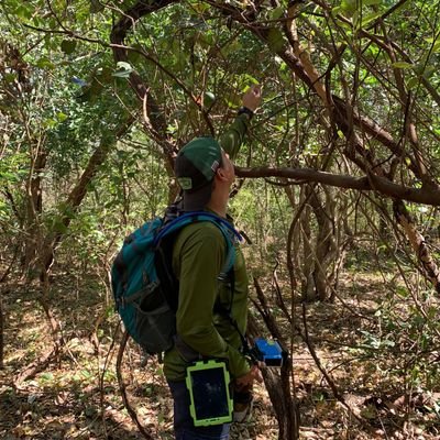 Área de Conservación Guanacaste 🍂
Parque Nacional Santa Rosa 🦌
Tilarán❄ Liberia🌞 Costa Rica🇨🇷
Turismólogo🌴 Pedagogo🙌🏼
Filipenses 4,13🙏🏼
Pura vida✌🏼