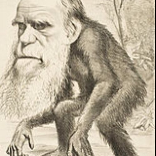 Nacho_Ochocinco's profile picture. Rescatador. Wide Receiver en Las Rozas Black Demons & Team Spain #85. Pedes in terra ad sidera visus.