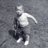 RobertMaxwell21's profile image