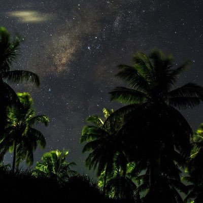 SafwaTns's profile picture. 