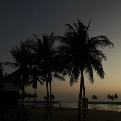 c26b_'s profile picture. .