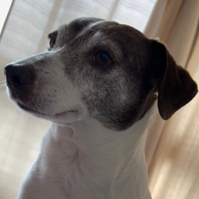 gravelero6's profile picture. 