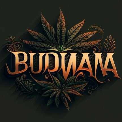 Rule #1 Be Kind
Always Learning
🌱🌿🪴🌳🌲
Sponsor Free ATM ✊️