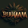 budwanaUk's profile picture. Rule #1 Be Kind  
Always Learning
🌱🌿🪴🌳🌲
Sponsor Free ATM ✊️