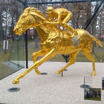 芸人以外の凌ぎ活動を上げていきます。
■パチスロ
■競馬『ハロー競馬チャンネル』⬇️リンクから
■Instagram https://t.co/4dJZ0DelTY
■note
■FX https://t.co/w1L9cpzIbk