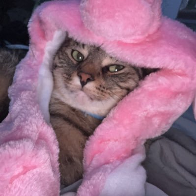 Alikan0319's profile picture. 